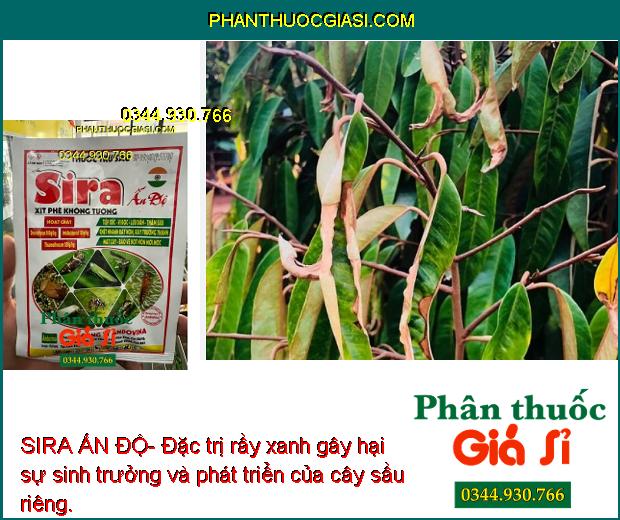 SIRA ẤN ĐỘ- Đặc Trị Bọ Trĩ - Rầy Xanh - Ruồi Vàng