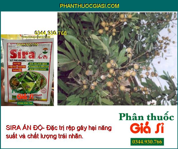 SIRA ẤN ĐỘ- Đặc Trị Bọ Trĩ - Rầy Xanh - Ruồi Vàng