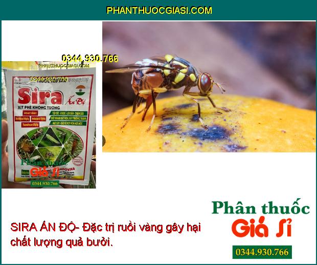 SIRA ẤN ĐỘ- Đặc Trị Bọ Trĩ - Rầy Xanh - Ruồi Vàng