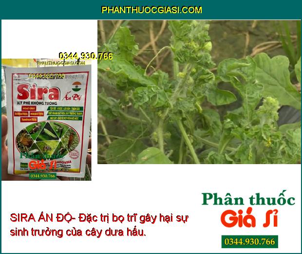 SIRA ẤN ĐỘ- Đặc Trị Bọ Trĩ - Rầy Xanh - Ruồi Vàng