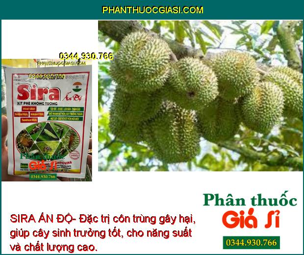 SIRA ẤN ĐỘ- Đặc Trị Bọ Trĩ - Rầy Xanh - Ruồi Vàng