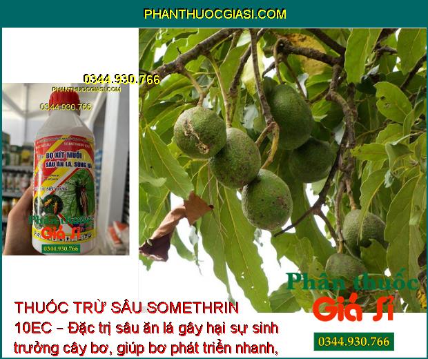 THUỐC TRỪ SÂU SOMETHRIN 10EC – Đặc Trị Bọ Xít Muỗi- Sâu Ăn Lá- Sùng Hà 