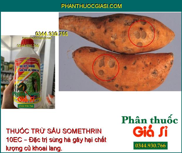 THUỐC TRỪ SÂU SOMETHRIN 10EC – Đặc Trị Bọ Xít Muỗi- Sâu Ăn Lá- Sùng Hà 