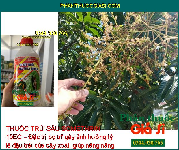 THUỐC TRỪ SÂU SOMETHRIN 10EC – Đặc Trị Bọ Xít Muỗi- Sâu Ăn Lá- Sùng Hà 