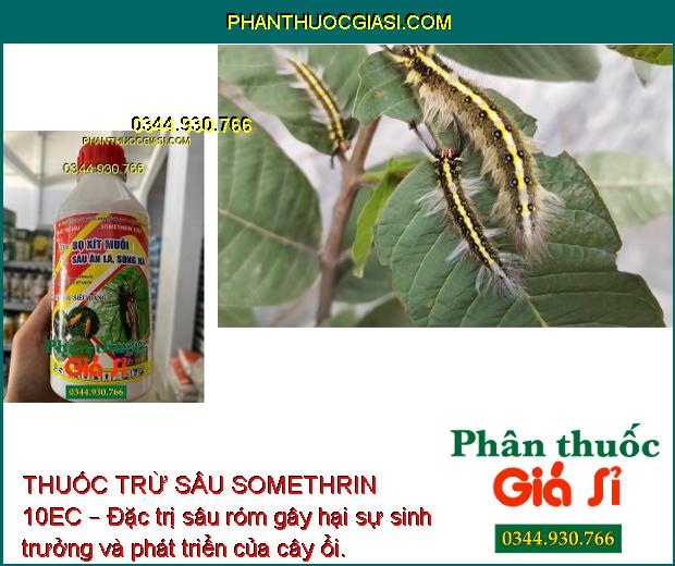 THUỐC TRỪ SÂU SOMETHRIN 10EC – Đặc Trị Bọ Xít Muỗi- Sâu Ăn Lá- Sùng Hà 