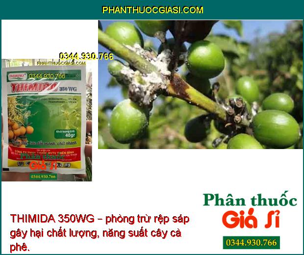 THIMIDA 350WG – THUỐC ĐẶC TRỊ CÔN TRÙNG GÂY HẠI 