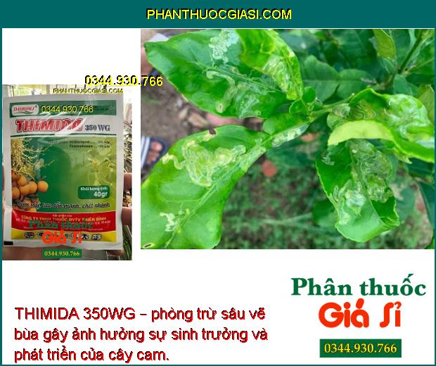 THIMIDA 350WG – THUỐC ĐẶC TRỊ CÔN TRÙNG GÂY HẠI 