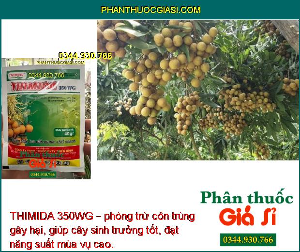 THIMIDA 350WG – THUỐC ĐẶC TRỊ CÔN TRÙNG GÂY HẠI 