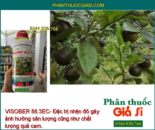 VISOBER 88.3EC- Đặc Trị Các Loại Côn Trùng Gây Hại