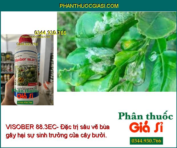 VISOBER 88.3EC- Đặc Trị Các Loại Côn Trùng Gây Hại