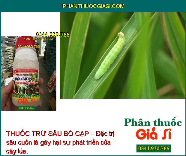 THUỐC TRỪ SÂU BÒ CẠP – Sát Thủ Diệt Sâu- Rầy Kháng Thuốc