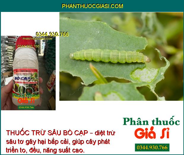 THUỐC TRỪ SÂU BÒ CẠP – Sát Thủ Diệt Sâu- Rầy Kháng Thuốc