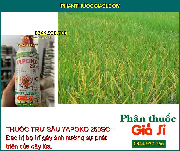 THUỐC TRỪ SÂU YAPOKO 250SC – ĐẶC TRỊ RẦY NÂU