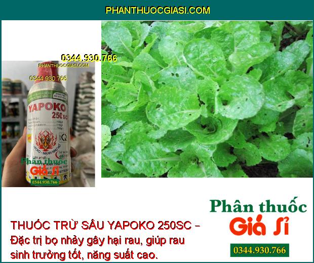 THUỐC TRỪ SÂU YAPOKO 250SC – ĐẶC TRỊ RẦY NÂU