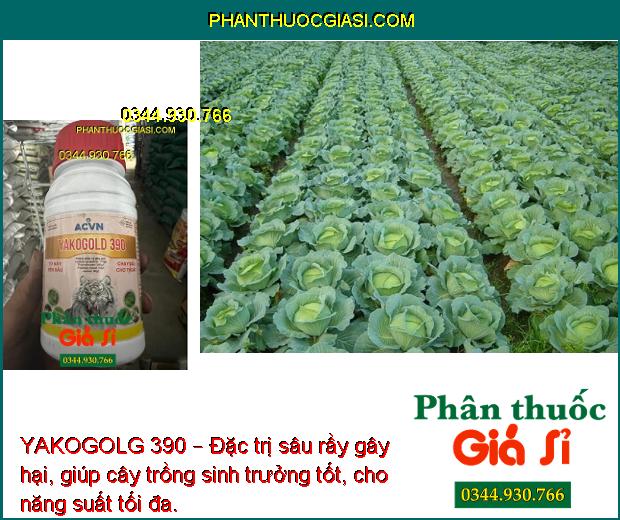 YAKOGOLG 390 – Đặc Trị Rầy -  Diệt Các Loại Sâu