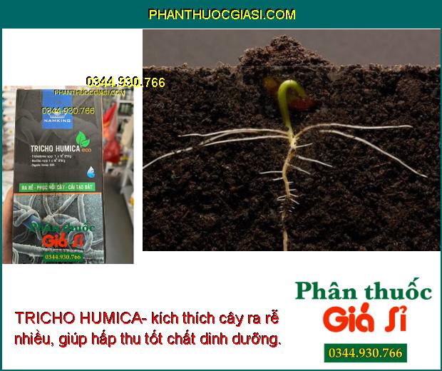 TRICHO HUMICA- Giúp Phục Hồi Cây-  Kích Thích Ra Rễ