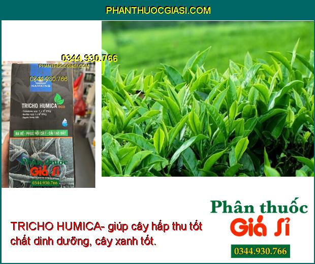 TRICHO HUMICA- Giúp Phục Hồi Cây-  Kích Thích Ra Rễ