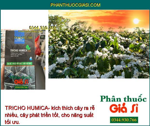 TRICHO HUMICA- Giúp Phục Hồi Cây-  Kích Thích Ra Rễ