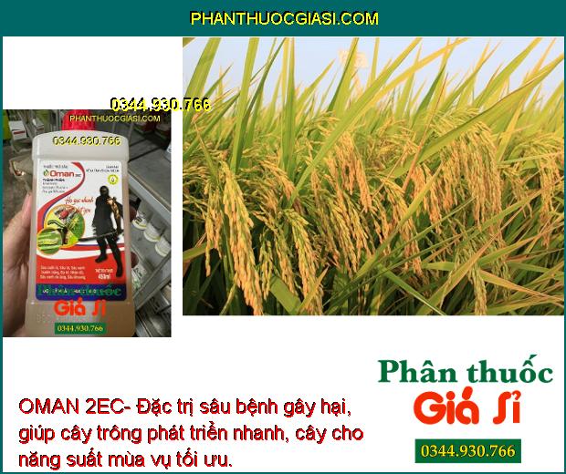 OMAN 2EC- Thuốc Đặc Trị Các Loại Sâu Gây Hại