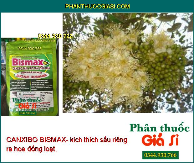 CANXIBO BISMAX- Chống Nứt Trái - Thối Trái