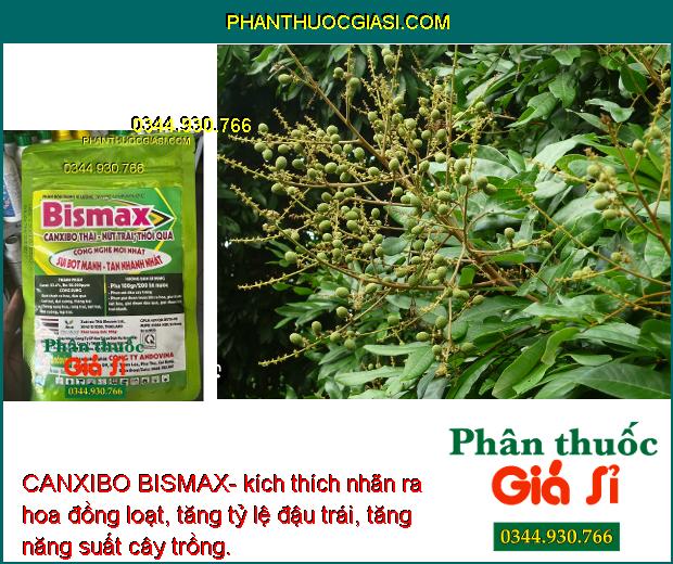 CANXIBO BISMAX- Chống Nứt Trái - Thối Trái