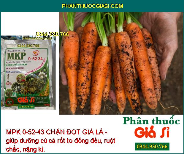 MPK 0-52-43 CHẶN ĐỌT GIÀ LÁ- Khống Chế Đọt Non- Ra Hoa Cực Mạnh