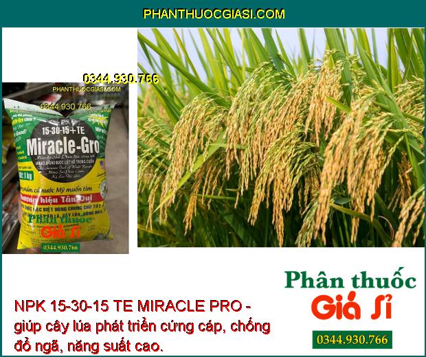 NPK 15-30-15 TE MIRACLE PRO- Ra hoa - Đậu Trái Cao