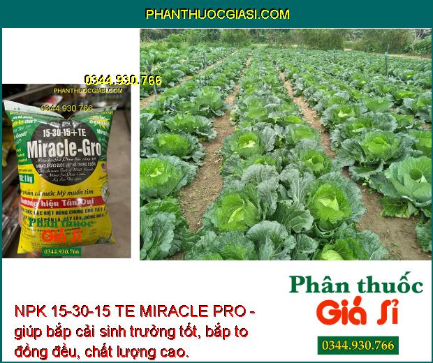 NPK 15-30-15 TE MIRACLE PRO- Ra hoa - Đậu Trái Cao