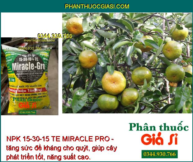 NPK 15-30-15 TE MIRACLE PRO- Ra hoa - Đậu Trái Cao