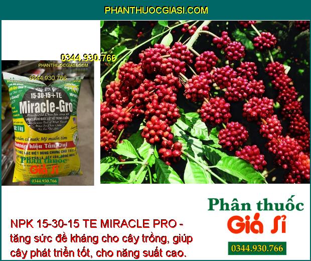 NPK 15-30-15 TE MIRACLE PRO- Ra hoa - Đậu Trái Cao