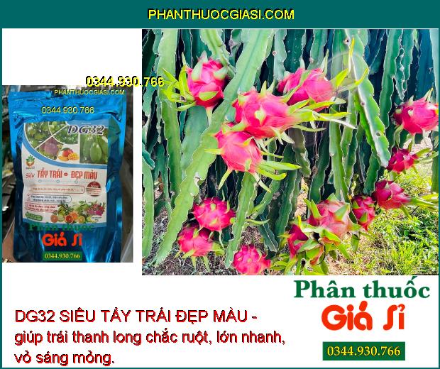 DG32 SIÊU TẨY TRÁI ĐẸP MÀU