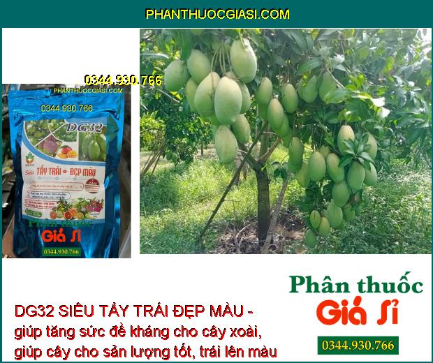 DG32 SIÊU TẨY TRÁI ĐẸP MÀU