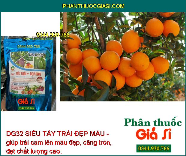 DG32 SIÊU TẨY TRÁI ĐẸP MÀU