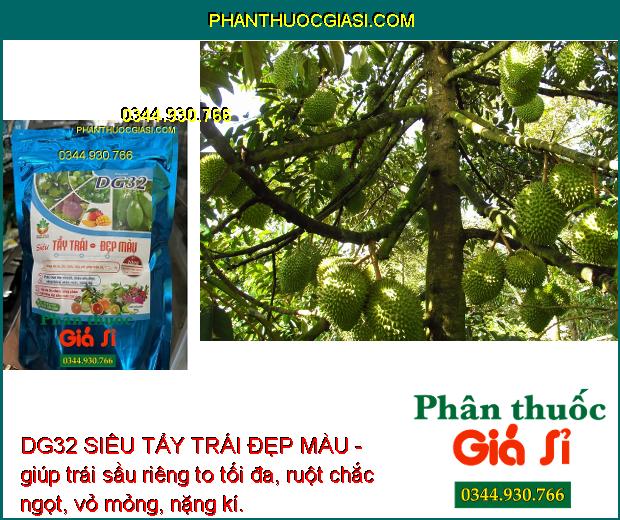 DG32 SIÊU TẨY TRÁI ĐẸP MÀU