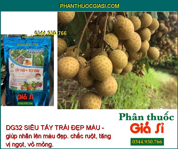 DG32 SIÊU TẨY TRÁI ĐẸP MÀU