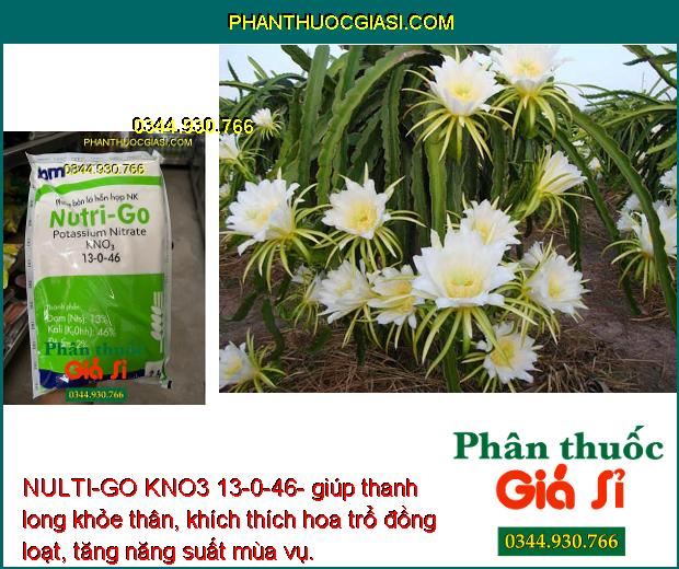 NULTI-GO KNO3 13-0-46- Kích Ra Hoa Đồng Loạt