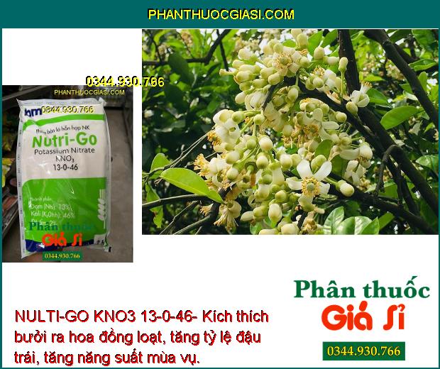 NULTI-GO KNO3 13-0-46- Kích Ra Hoa Đồng Loạt