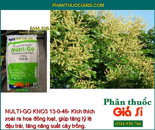 NULTI-GO KNO3 13-0-46- Kích Ra Hoa Đồng Loạt