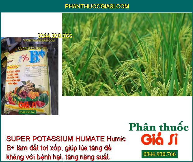 SUPER POTASSIUM HUMATE Humic B+Ra Rễ Mạnh- Siêu Lớn Trái.