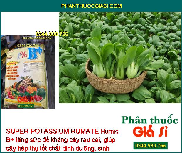 SUPER POTASSIUM HUMATE Humic B+Ra Rễ Mạnh- Siêu Lớn Trái.