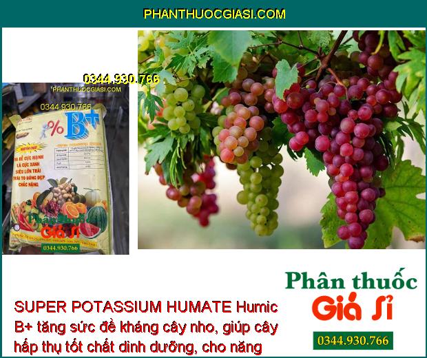 SUPER POTASSIUM HUMATE Humic B+Ra Rễ Mạnh- Siêu Lớn Trái.