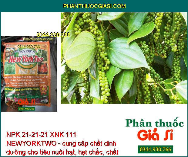 NPK 21-21-21 XNK 111 NEWYORKTWO- Nuôi Trái - Đẹp Trái