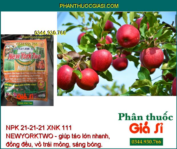 NPK 21-21-21 XNK 111 NEWYORKTWO- Nuôi Trái - Đẹp Trái