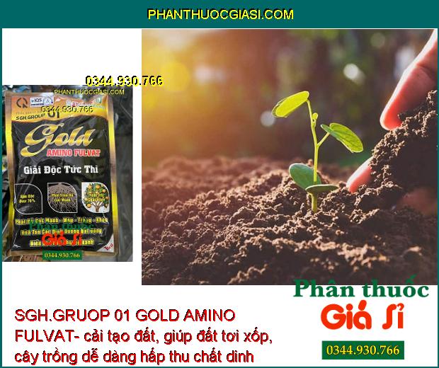 SGH.GRUOP 01 GOLD AMINO FULVAT- Rễ Phát Triển Mạnh - Xanh Lá