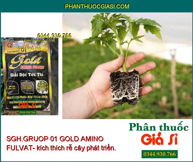 SGH.GRUOP 01 GOLD AMINO FULVAT- Rễ Phát Triển Mạnh - Xanh Lá