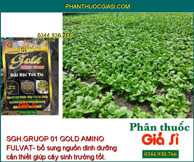 SGH.GRUOP 01 GOLD AMINO FULVAT- Rễ Phát Triển Mạnh - Xanh Lá