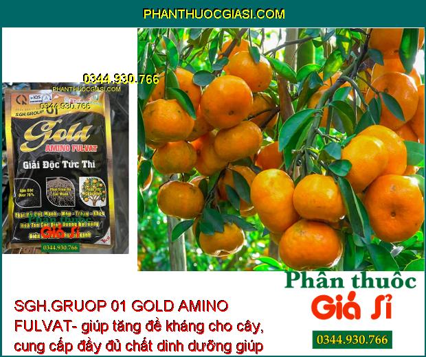 SGH.GRUOP 01 GOLD AMINO FULVAT- Rễ Phát Triển Mạnh - Xanh Lá