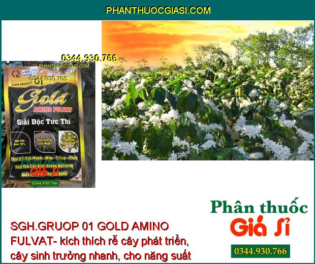 SGH.GRUOP 01 GOLD AMINO FULVAT- Rễ Phát Triển Mạnh - Xanh Lá