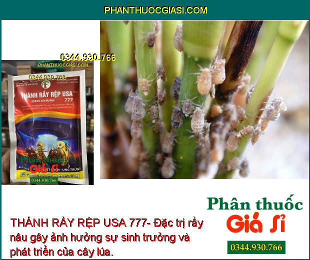 THÁNH RẦY RỆP USA 777- Đặc Trị Côn Trùng Gây Hại Cây Trồng