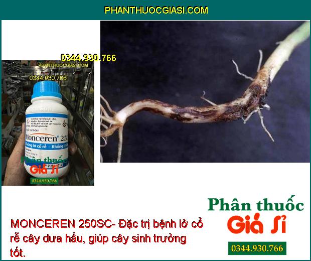 MONCEREN 250SC- Đặc Trị Lỡ Cổ Rễ - Khô Vằn